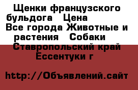 Щенки французского бульдога › Цена ­ 30 000 - Все города Животные и растения » Собаки   . Ставропольский край,Ессентуки г.